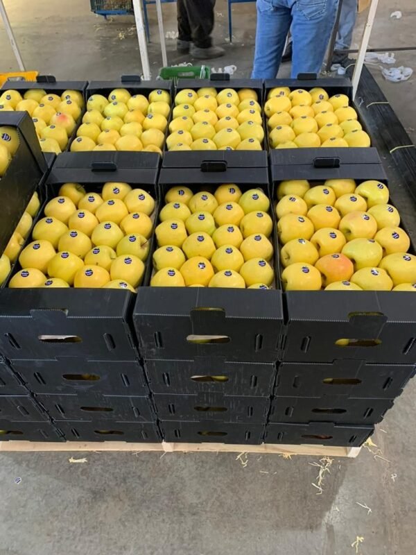Fruit Packaging Boxes