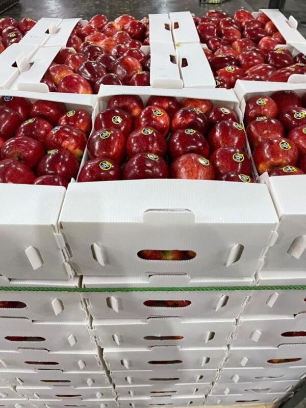 Fruit Packaging Boxes